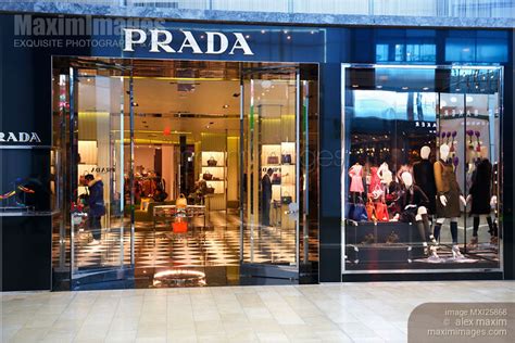 Prada canada online shopping